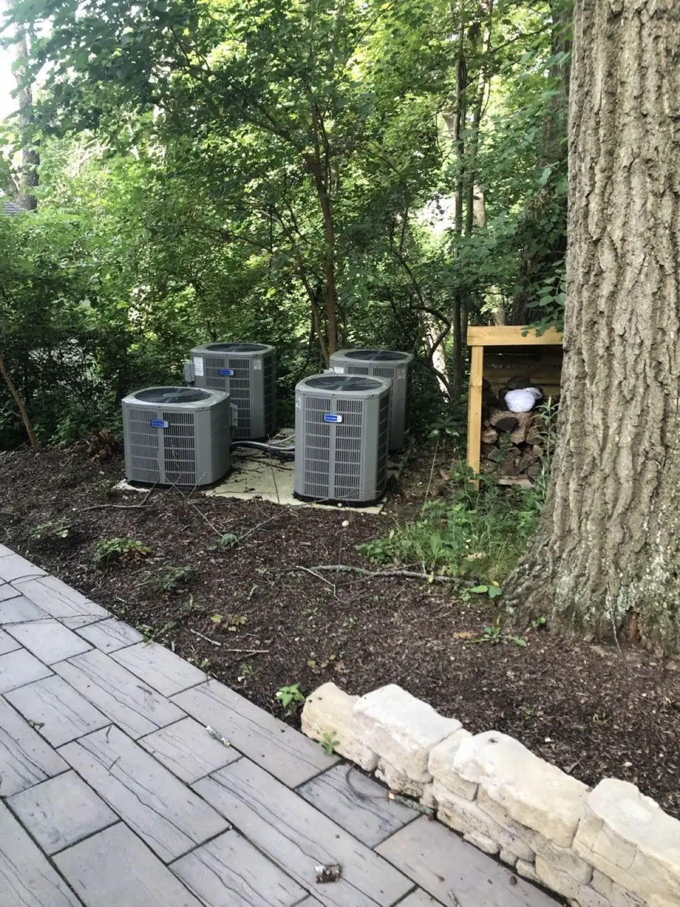 Four American Standard residential condensing units grouped on a pad at the edge of a wooded yard, beside a paver walkway